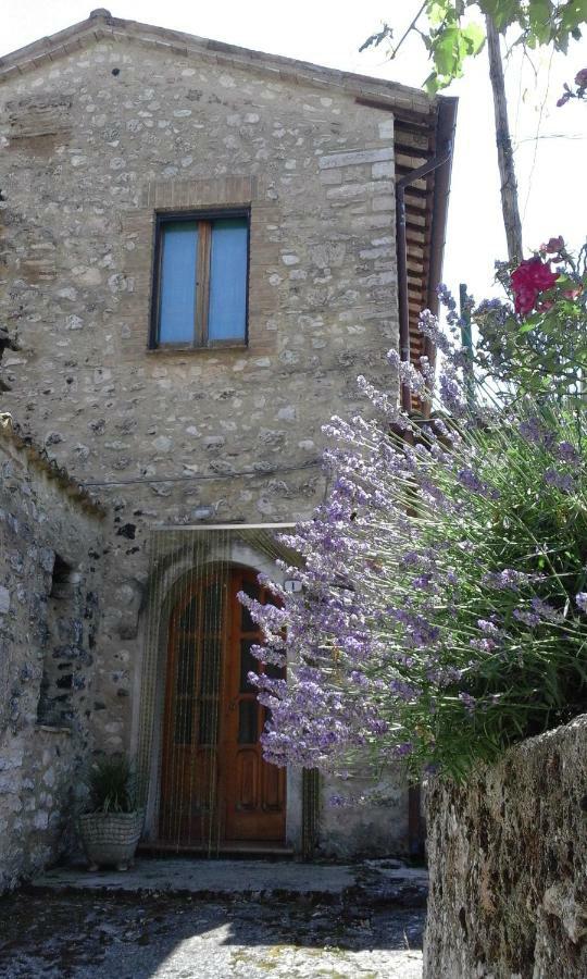 Agriturismo Terramia Meggiano Zewnętrze zdjęcie