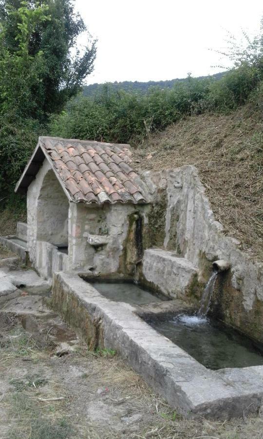 Agriturismo Terramia Meggiano Zewnętrze zdjęcie